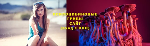 прущая мука Протвино