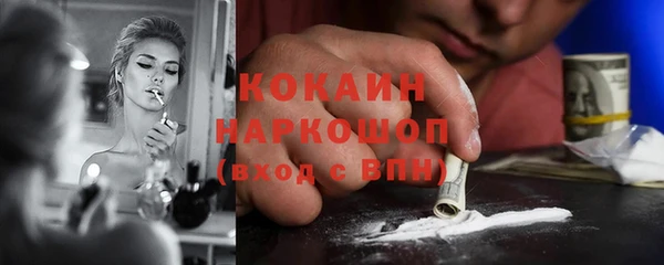шишки Приозерск