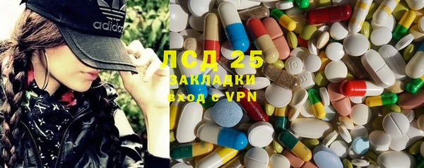 шишки Приозерск