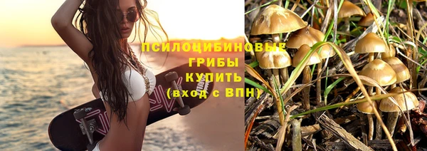 шишки Приозерск