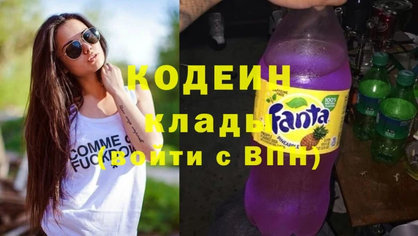 шишки Приозерск