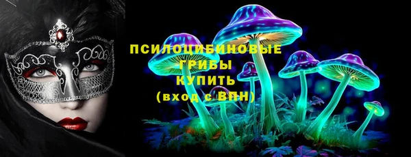 шишки Приозерск