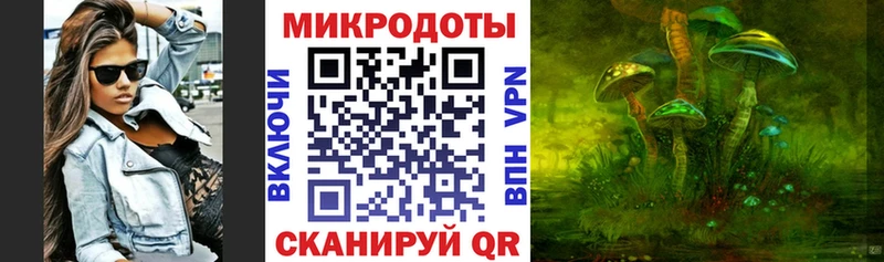 Галлюциногенные грибы прущие грибы  Купить  Рыбное 